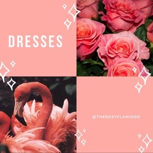  Women's Dresses! 